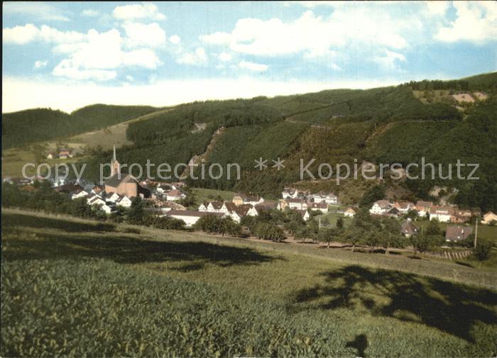 Oberharmersbach Panorama