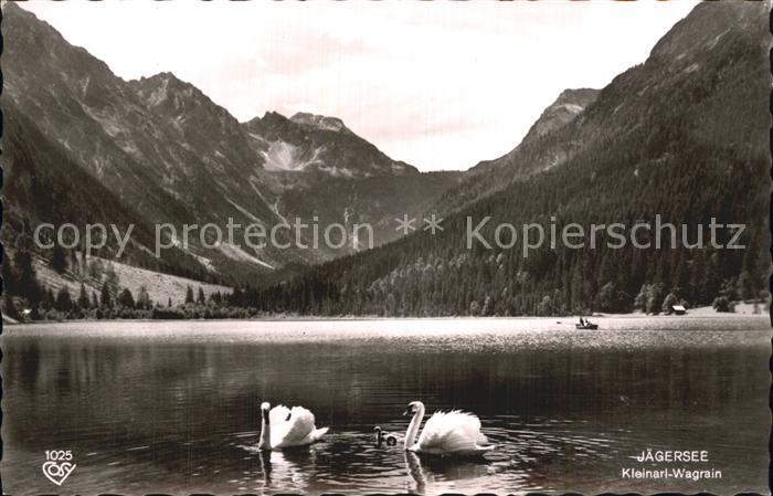 Schwan Jaegersee Kleinarl-Wagrain