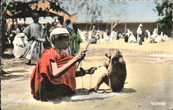 Affen Dresseur de singe Maroc