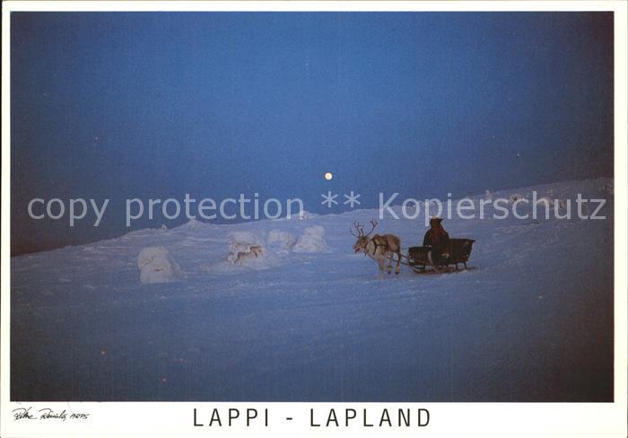 Schlitten Schnee Rentier Suomi Finland Lappi Lapland