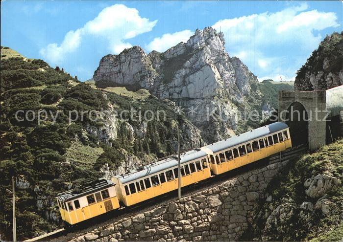Zahnradbahn Wendelsteinbahn Tunneleinfahrt Soinkesselspitze