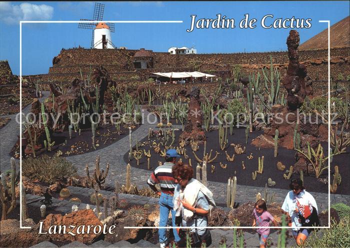 Kakteen Jardin de Cactus Lanzarote