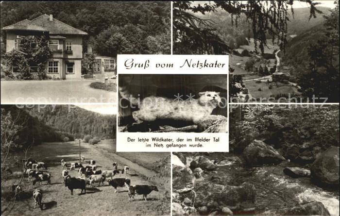 Ilfeld Suedharz Netzkater Gasthaus Viehweide Ilfelder Tal