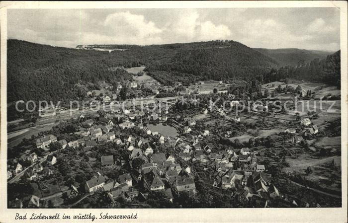 Bad Liebenzell Fliegeraufnahme