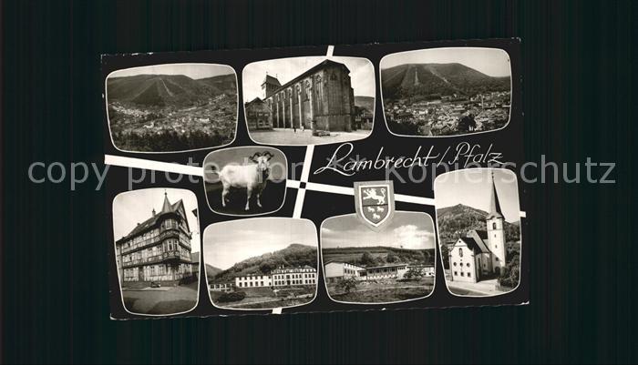 Lambrecht Total Panorama Schloss Kirche Teilansichten