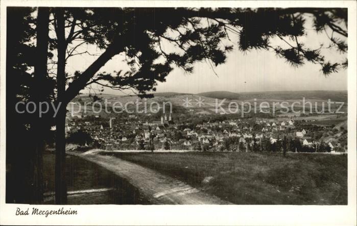 Bad Mergentheim Panorama
