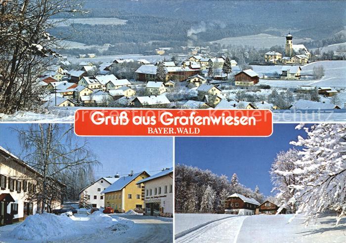 Grafenwiesen Panorama Dorfpartien