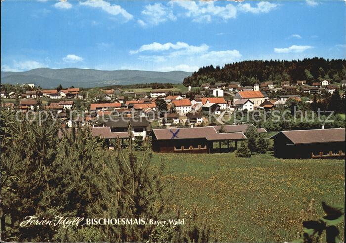 Bischofsmais Panorama