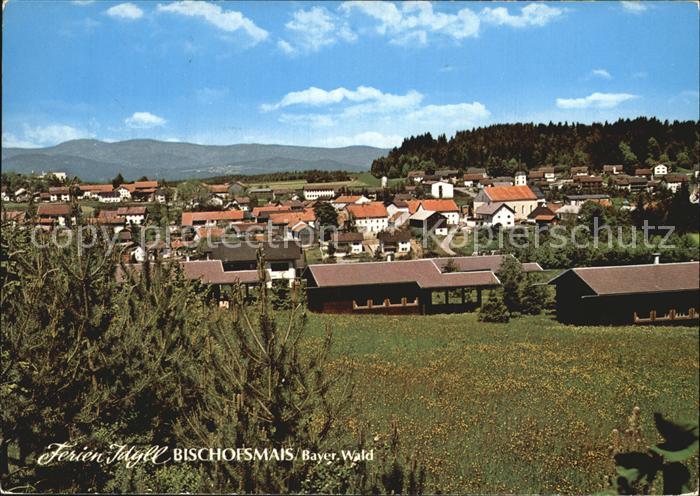 Bischofsmais Ferienpark Panorama