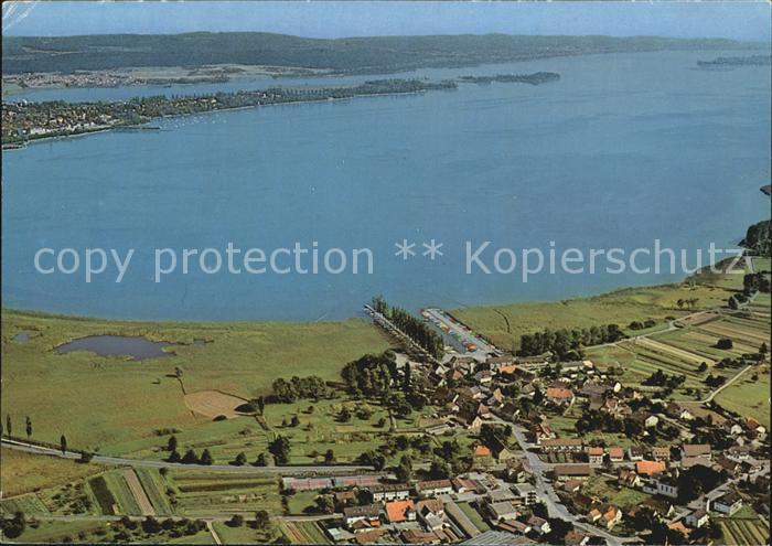 Moos Bodensee mit Insel Hoeri Fliegeraufnahme