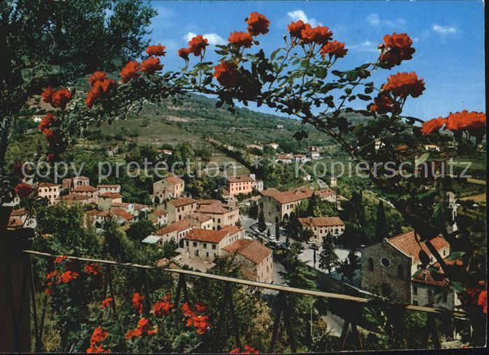 Arqua Petrarca Panorama