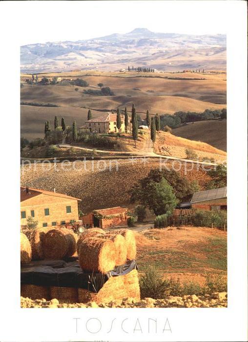 Siena Il Belvedere S Quirico d Orcia