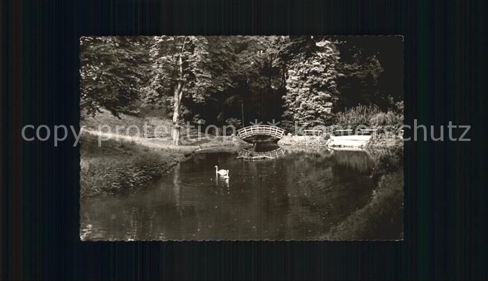 Auerbach Bergstrasse Schwanenteich im Fuerstenlager