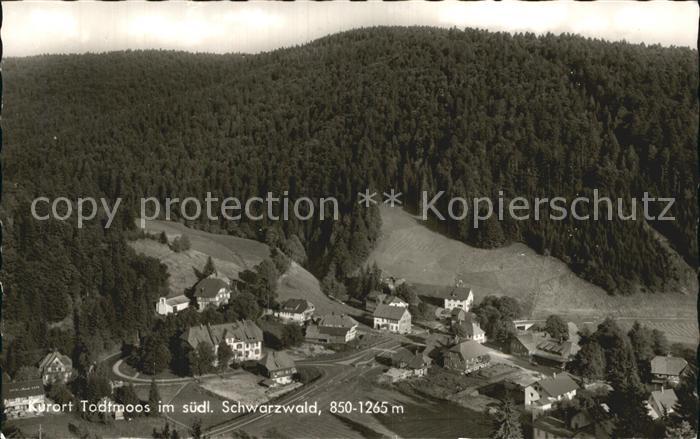 Todtmoos Teilansicht