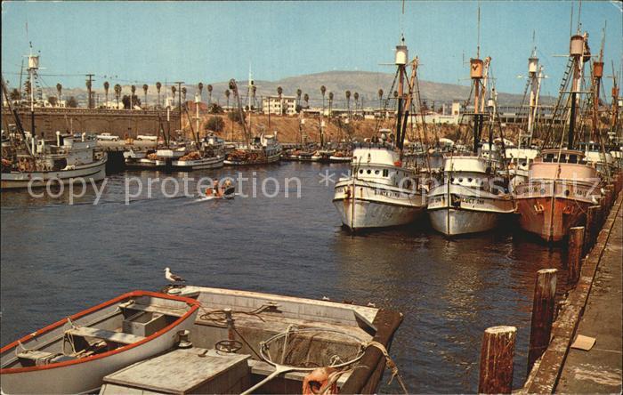 San Pedro California Fishing Fleet at Dock