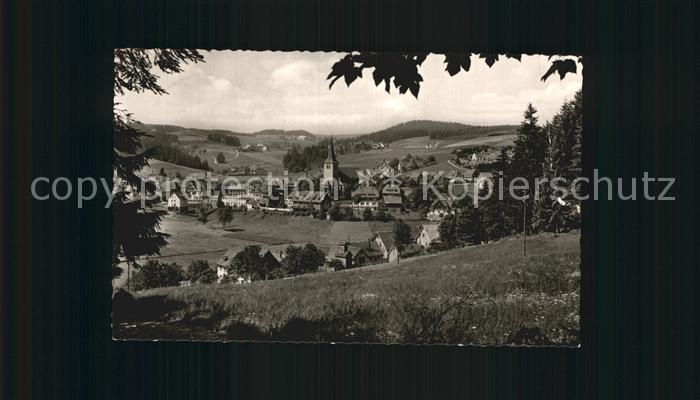Schonach Schwarzwald Panorama