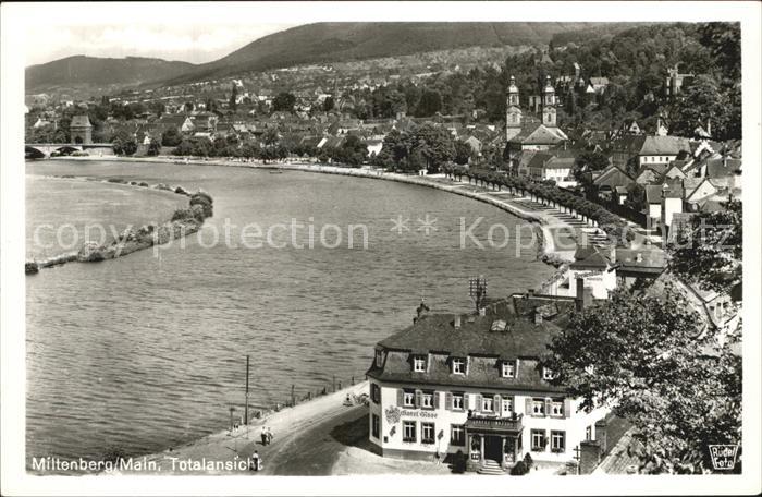 Miltenberg Main Panorama