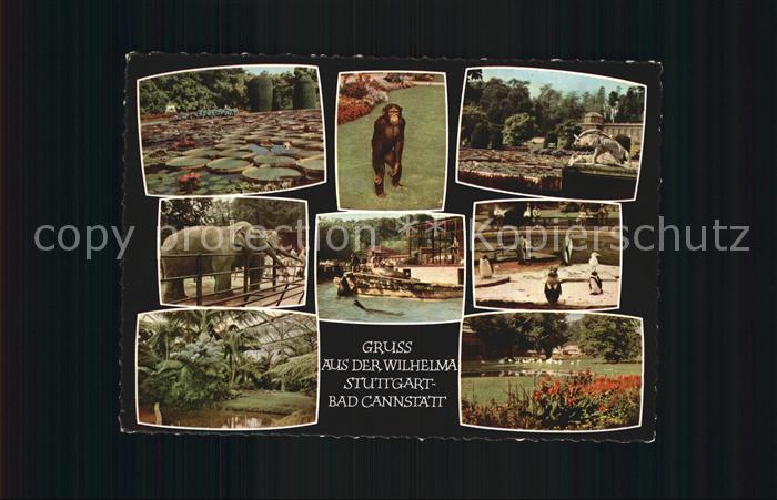Bad Cannstatt Wilhelma Teilansichten