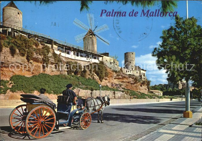 Palma de Mallorca Paseo Maritimo Molinos del Jonquet
