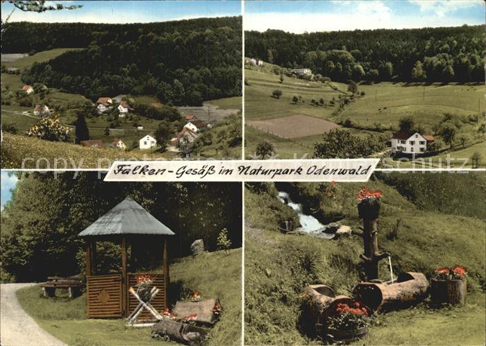 Falkengesaess Odenwald Naturpark Odenwald Gasthaus Pension Zum Schlawitzer Brunn