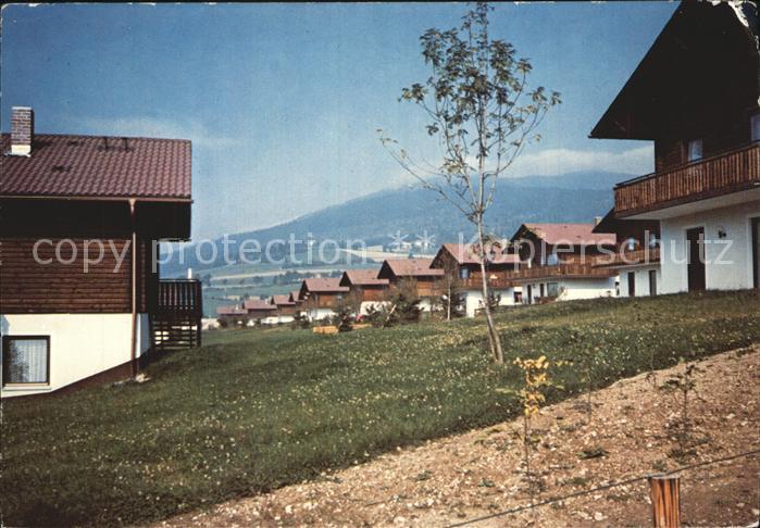 Hohenwarth Koetzting Ferienpark Hohen Bogen