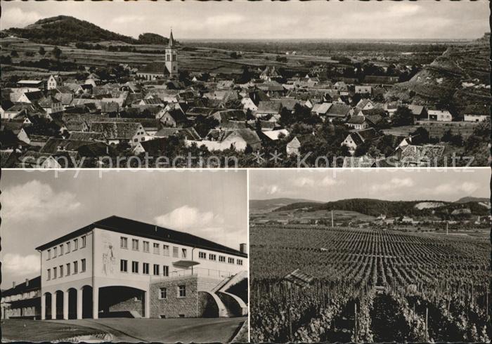 Oberrotweil Panorama Winzerhaus Rebland