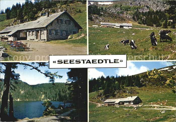 Soultzeren Seestaedtle