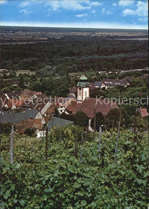 Bad Bellingen Mineral-Thermalbad