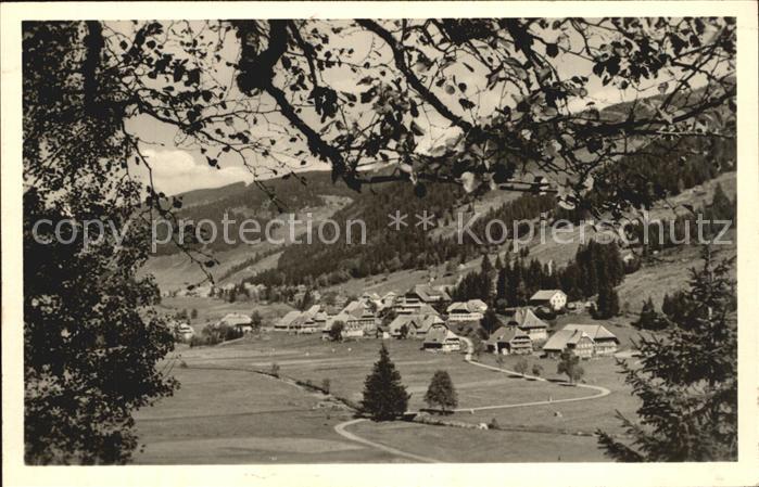 Menzenschwand Hoehenluftkurort