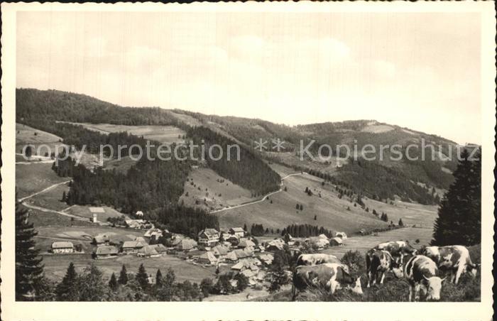 Menzenschwand Vorderdorf