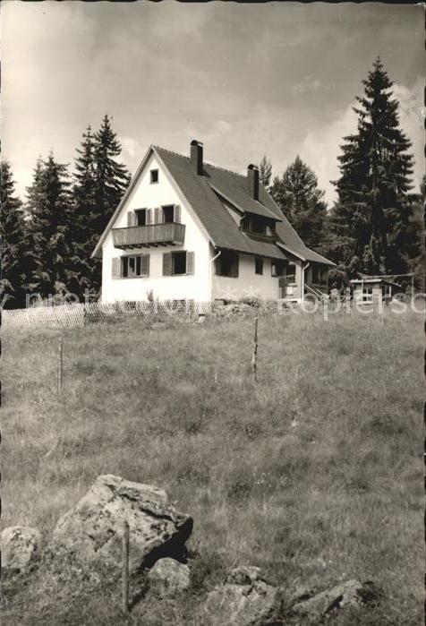 Saig Schwarzwald Haus in den Birken