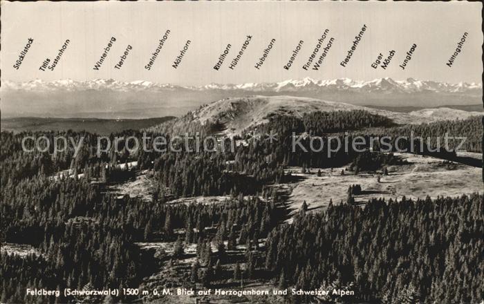 Feldberg Schwarzwald Blick auf Herzogenhorn Schweizer Alpen