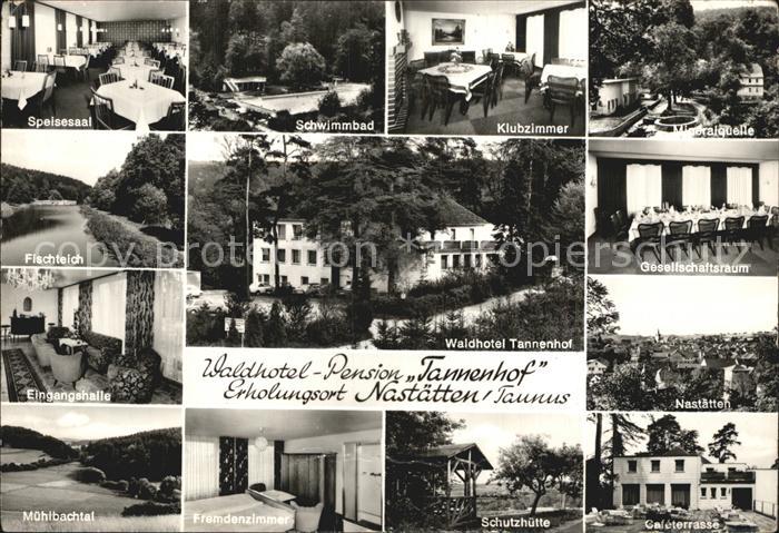 Nastaetten Taunus Waldhotel Pension Tannenhof