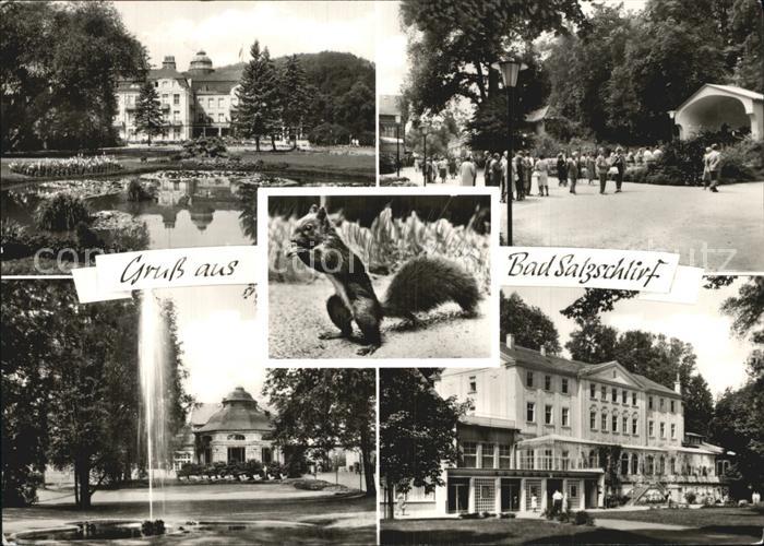 Bad Salzschlirf Badehof Mariengrotte Kurpark