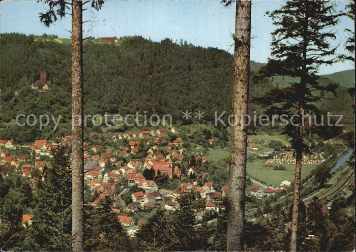 Bad Liebenzell Panorama