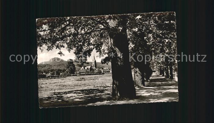 Bad Driburg Allee mit Iburg