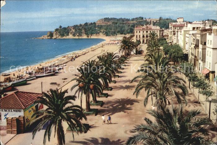 Lloret de Mar Paseo de Verdaguer Boulevard Palmen Strand