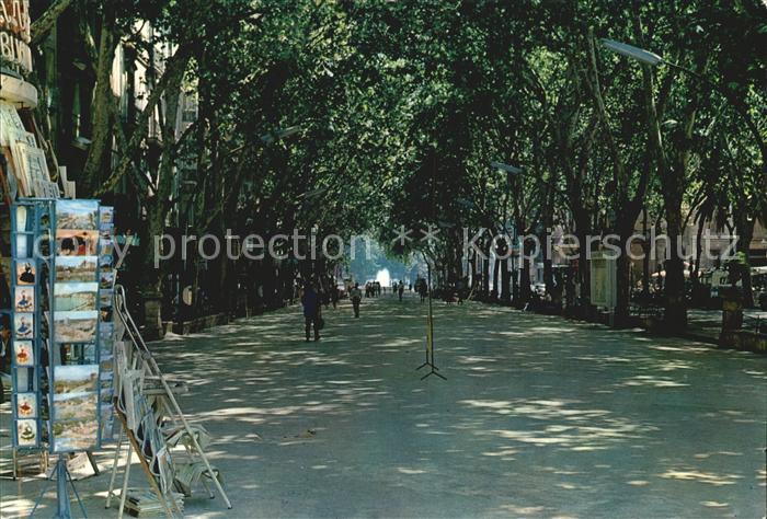 Palma de Mallorca Paseo del Borne Allee