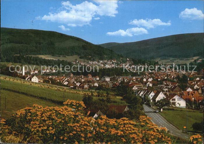 Bad Orb Panorama Heilbad