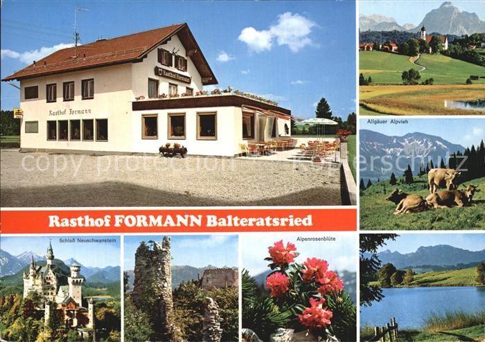 Balteratsried Rasthof Formann Allgaeuer Alpvieh Kuehe Alpen Alpenrosebluete Schl