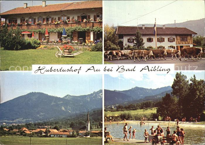 Au Bad Aibling Gaestehaus Hubertushof Alpenblick Freibad