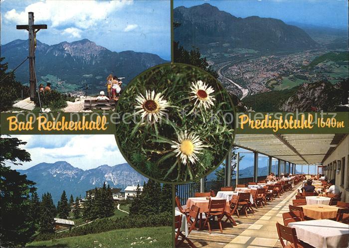 Bad Reichenhall Gipfelkreuz Predigtstuhl Bergrestaurant Disteln Fernblick