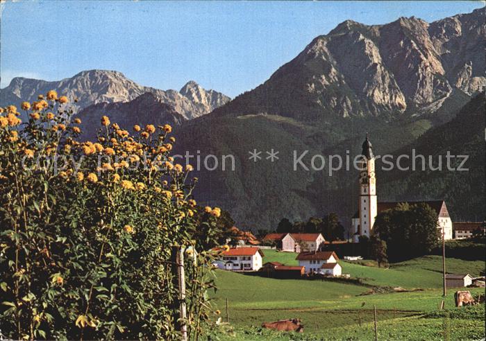 Pfronten Ortsansicht mit Kirche Baumbluete Schlicke Rossberg Allgaeuer Alpen