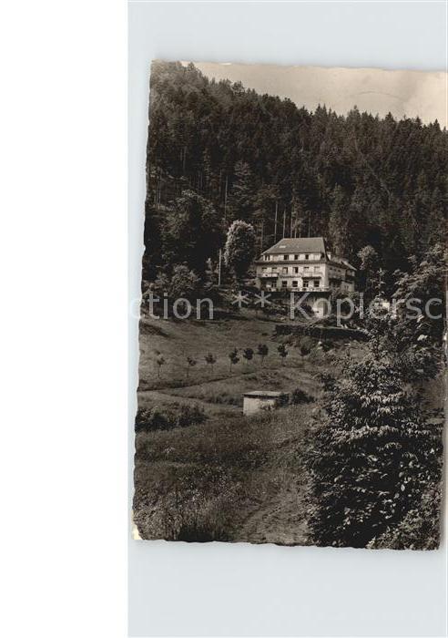 Allerheiligen Oppenau Lierbachtal Haus Wasserfall