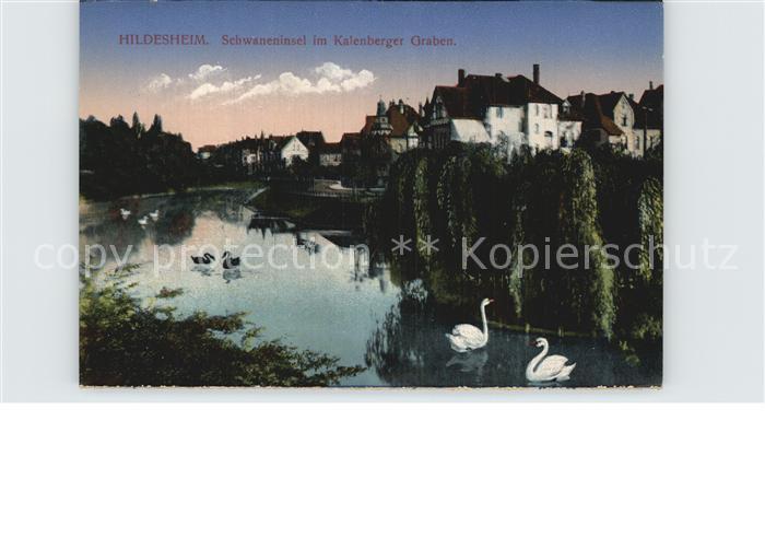 Hildesheim Schwaneninsel im Kalenberger Graben