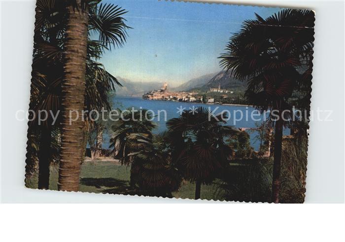 Malcesine Lago di Garda Park am See