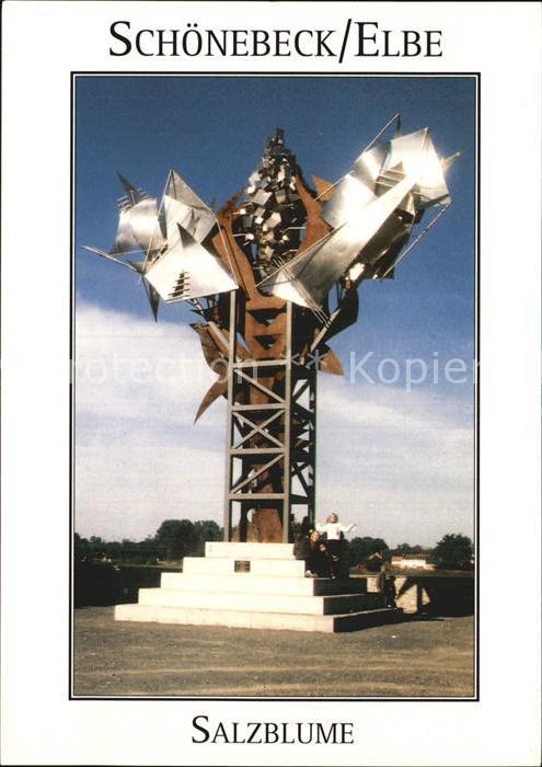Schoenebeck Elbe Salzblume