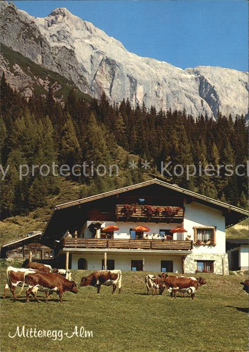 Muehlbach Hochkoenig Mitteregg-Alm