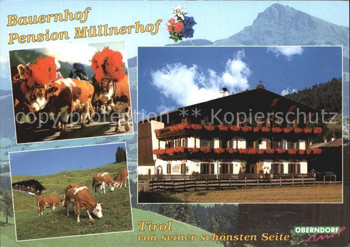 Oberndorf Tirol Bauernhof Muellnerhof