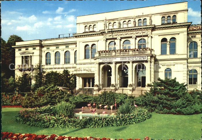 Frankfurt Main Zoo Flamingos